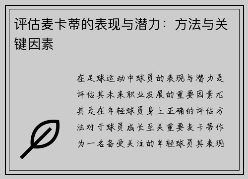 评估麦卡蒂的表现与潜力:方法与关键因素